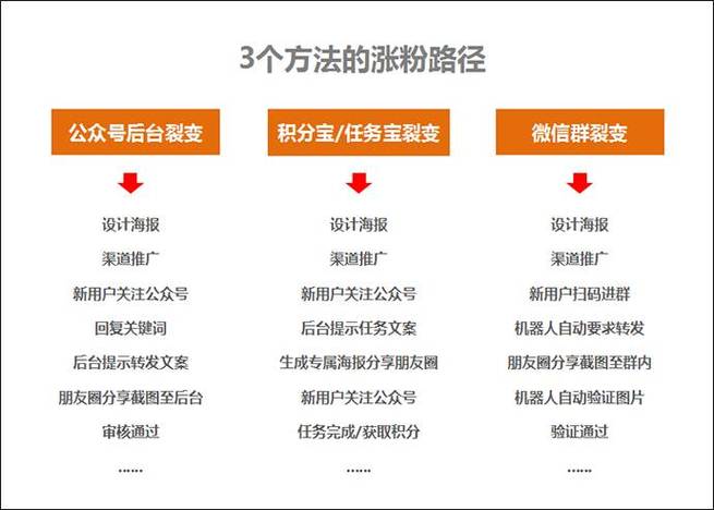 视频号涨粉规则,视频号涨粉规则全解析：技巧、策略与成功秘诀!