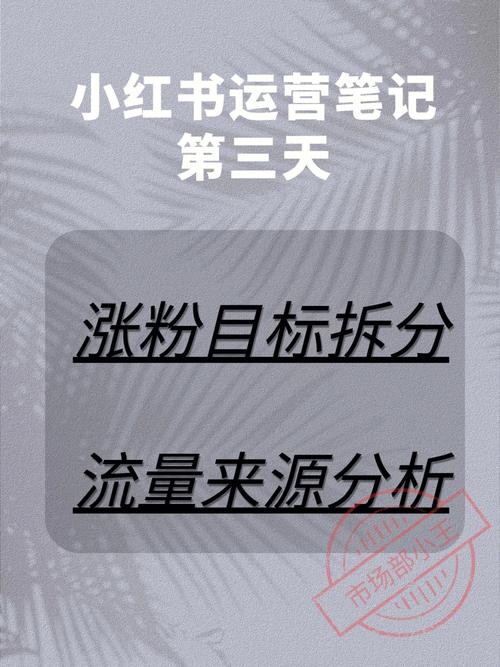 小红书企业号涨粉视频文案,小红书企业号涨粉的秘密武器：视觉盛宴下的文案故事!