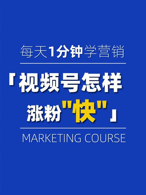 视频号每天涨粉3个,视频号每天涨粉3个的秘密：从内容、互动到运营的全方位提升!