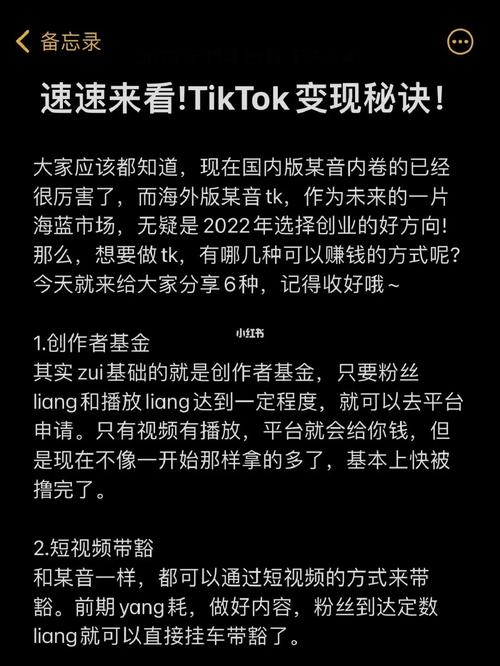 tiktok怎么涨粉变现,TikTok涨粉变现策略：实用技巧与案例分享!