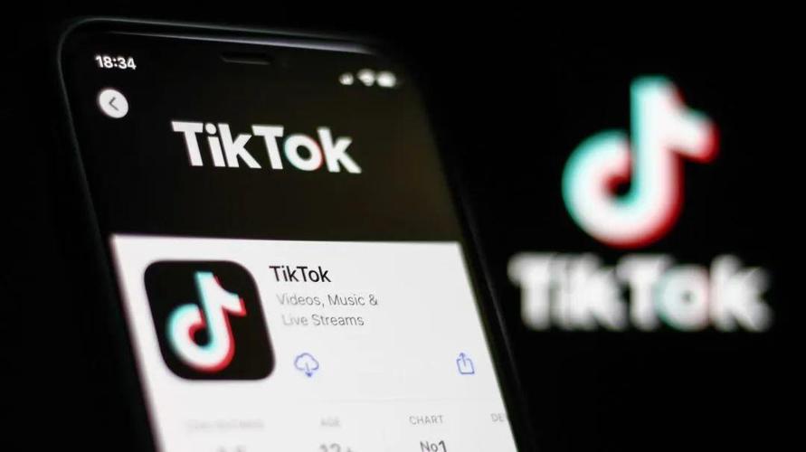 tiktok没发作品涨粉,tiktok没发作品涨粉的原因分析!