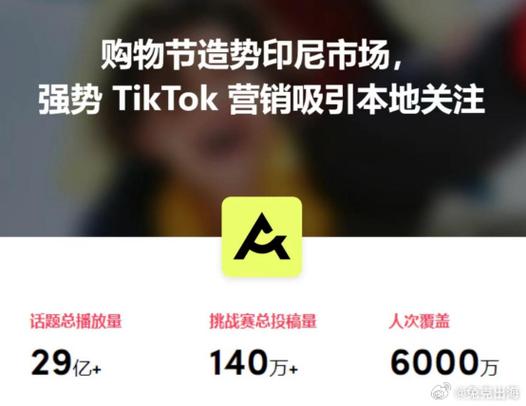 tiktok投流涨粉怎么投ads,tiktok投流涨粉技巧：从广告投放开启涨粉新篇章!