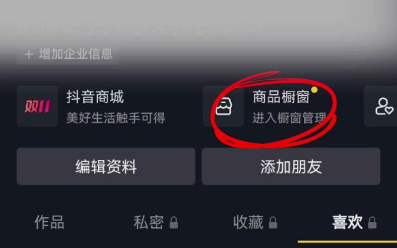 开抖音橱窗价格是多少,橱窗经济的崛起：抖音橱窗的价格与潜力!