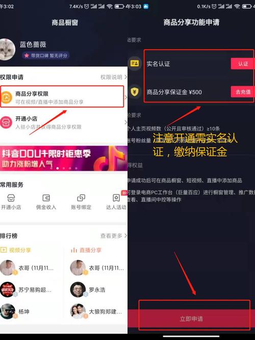 抖音开橱窗在哪儿开,抖音橱窗开通攻略：步步为营，成就电商达人!