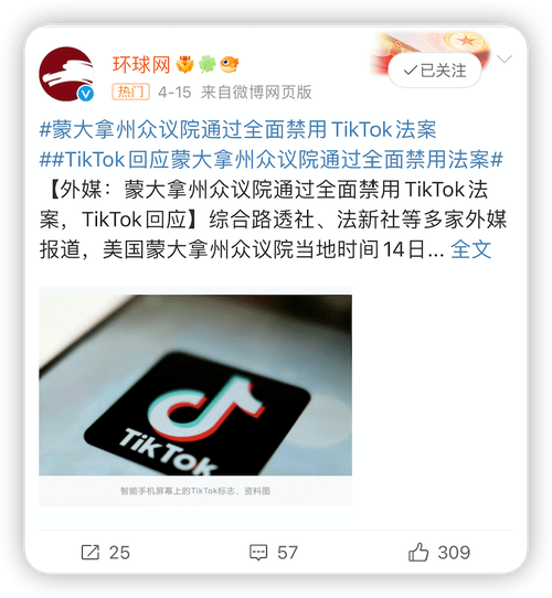 苹果评论tiktok,苹果评论TikTok：探讨应用背后的故事与价值!