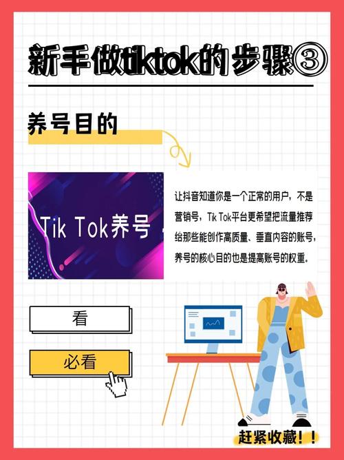 tiktok运营模式怎么刷赞