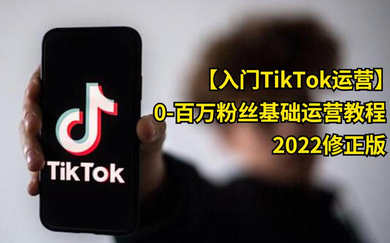 tiktok上百万刷粉丝