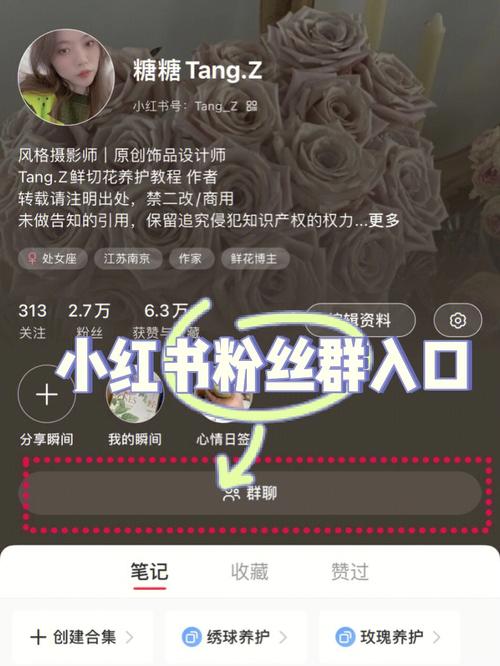 小红书粉丝的平台,揭秘小红书粉丝的神秘世界：平台、互动与成长!