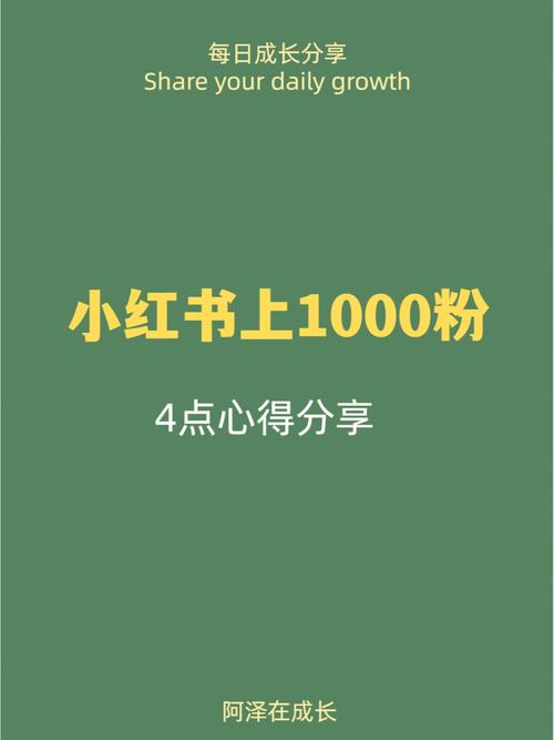 小红书粉丝的平台,揭秘小红书粉丝的神秘世界：平台、互动与成长!