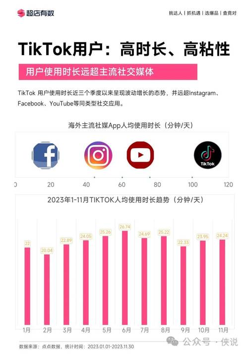 tiktok刷粉丝排名2023