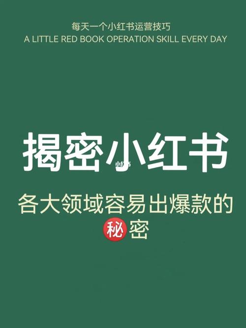 小红书买黑粉有什么用,揭秘小红书买黑粉的真相：究竟有何作用？!