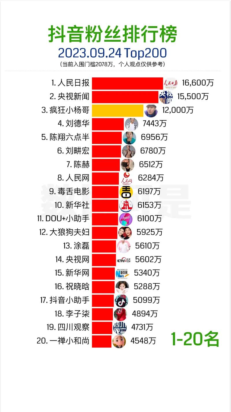 抖音粉丝业务代理公司排名,抖音粉丝业务代理公司排名揭秘!