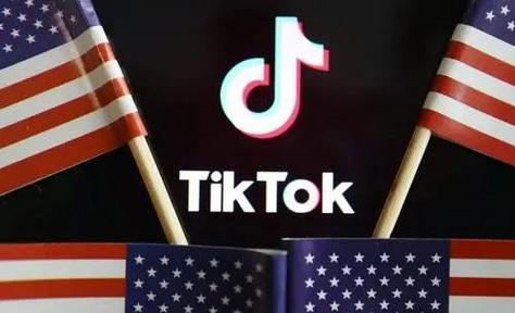 tiktok挂粉丝项目