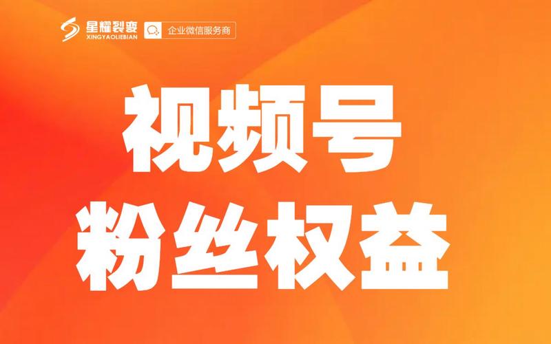 视频号粉丝购买有什么用处,视频号粉丝购买的多重意义与实际效用!