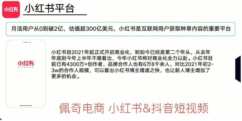 小红书真人点数据代刷数据,真人点数据代刷数据：解锁小红书运营新技能!