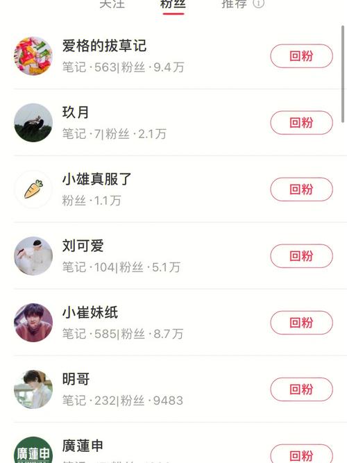 如何查询小红书粉丝量,查询小红书粉丝量全攻略：让你的粉丝数不再神秘!