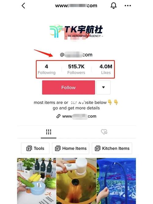 tiktok账号刷粉丝截图