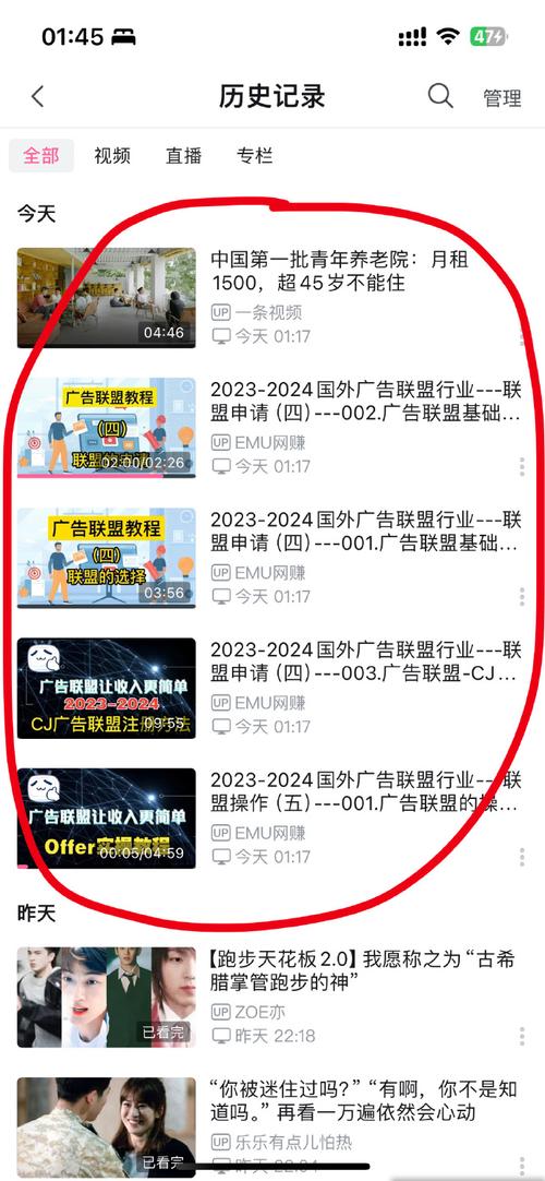 刷b站播放量网址,刷B站播放量网址揭秘：安全与风险并存!