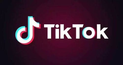 台湾名嘴评论tiktok,台湾名嘴评析 TikTok 话题：解读背后的是非曲直与挑战应对!