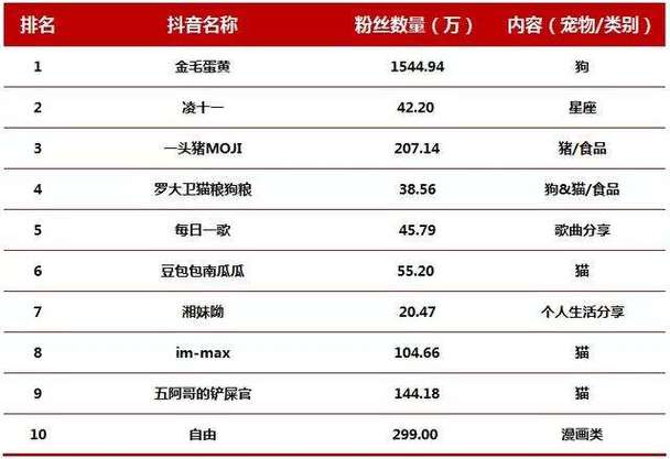 抖音粉丝业务平台是什么,抖音粉丝业务平台：打造个人品牌的力量源泉!