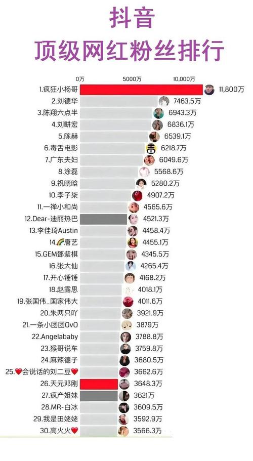 抖音购买粉丝数量