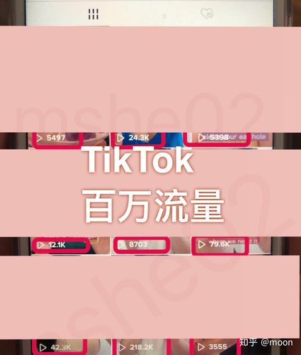 tiktok百万刷粉丝收入