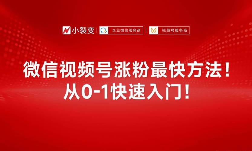 品牌视频号涨粉多少,品牌视频号涨粉策略：如何实现快速增长!