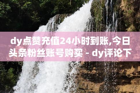 可以购买dy粉丝吗,粉丝交易市场风险及其管理!