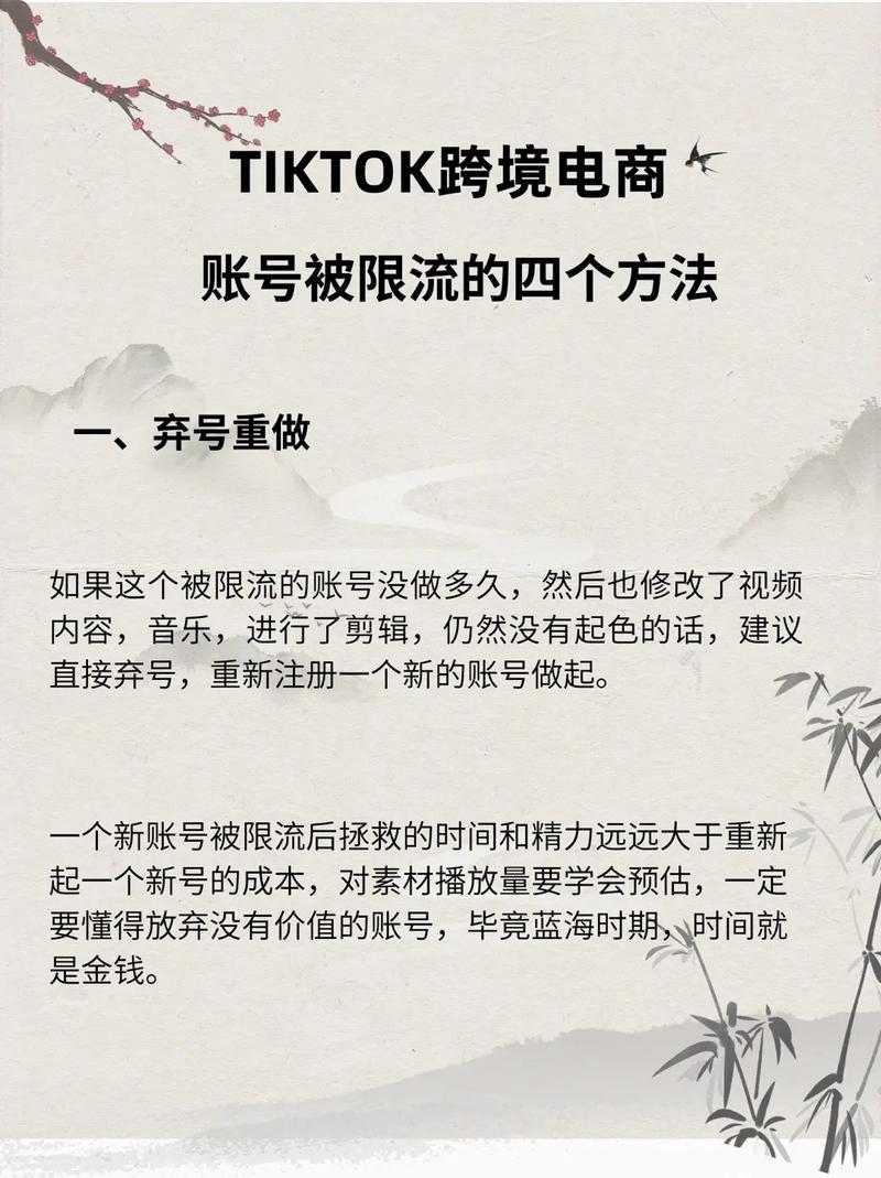 tiktok涨粉太快被限流,TikTok涨粉太快被限流的原因及解决方法!