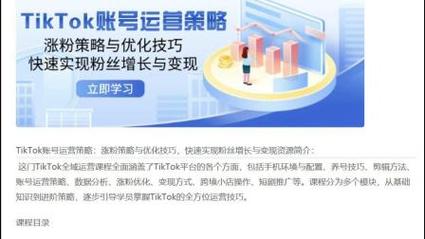 tiktok如何涨粉,TikTok涨粉策略：实用技巧与方法!