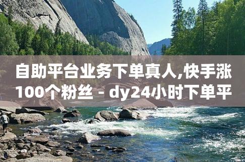 dy粉丝购买平台网站,粉丝购买平台：DY的独特魅力与优质服务!