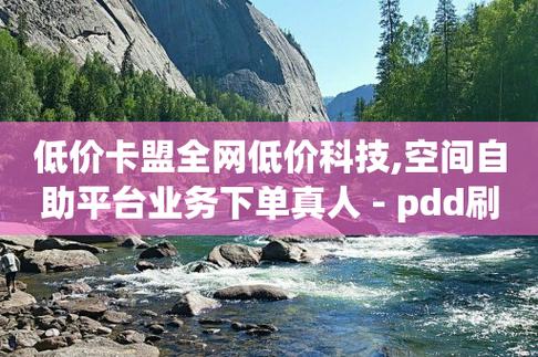 抖音业务低价自助平台,抖音业务低价自助平台：轻松实现您的抖音梦想!