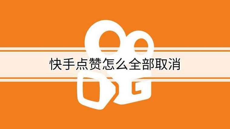 快手500万点赞视频,快手500万点赞视频背后的成功秘密!