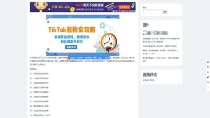 tiktok刷粉丝排名中国