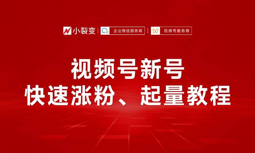 微信视频号粉丝数购买,微信视频号粉丝数购买：策略与成功秘诀!