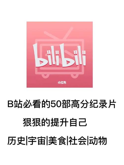 b站代刷是怎么做的,B站代刷：揭秘背后的神秘操作!