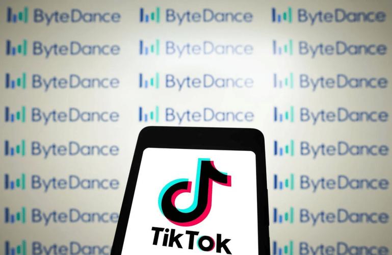 tiktok青少年刷粉丝