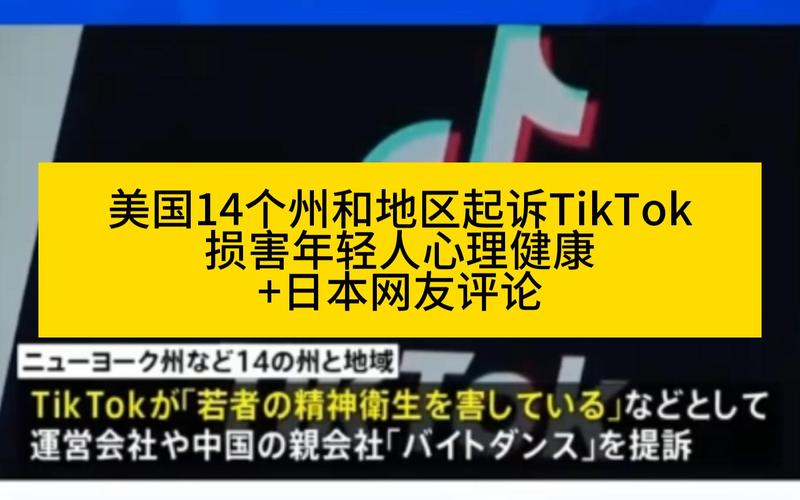 网民评论tiktok,网民评论tiktok：网络世界的声音，引发深思!