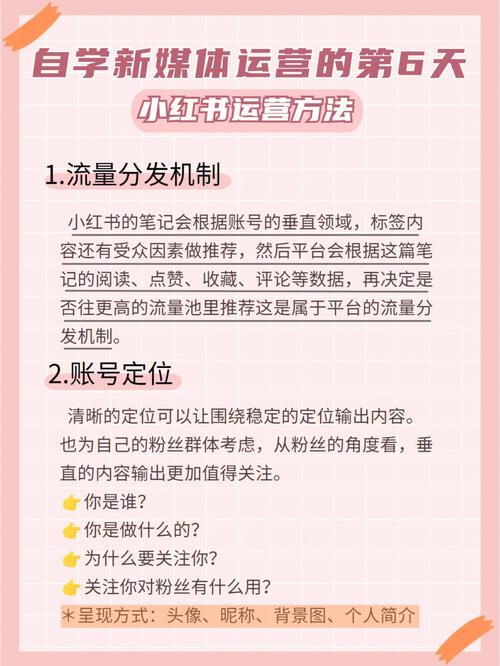 小红书刷点数据量6,小红书运营攻略：提升数据量的实用技巧!