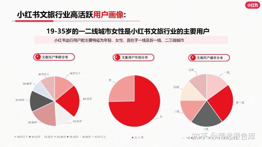 小红书粉丝画像调整,小红书粉丝画像调整：洞察新趋势，引领未来发展!