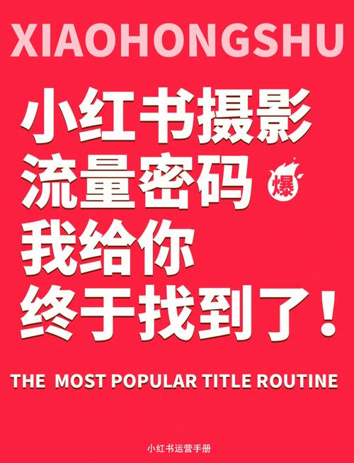 小红书买流量选哪种,小红书买流量：你需要了解的几个选择!