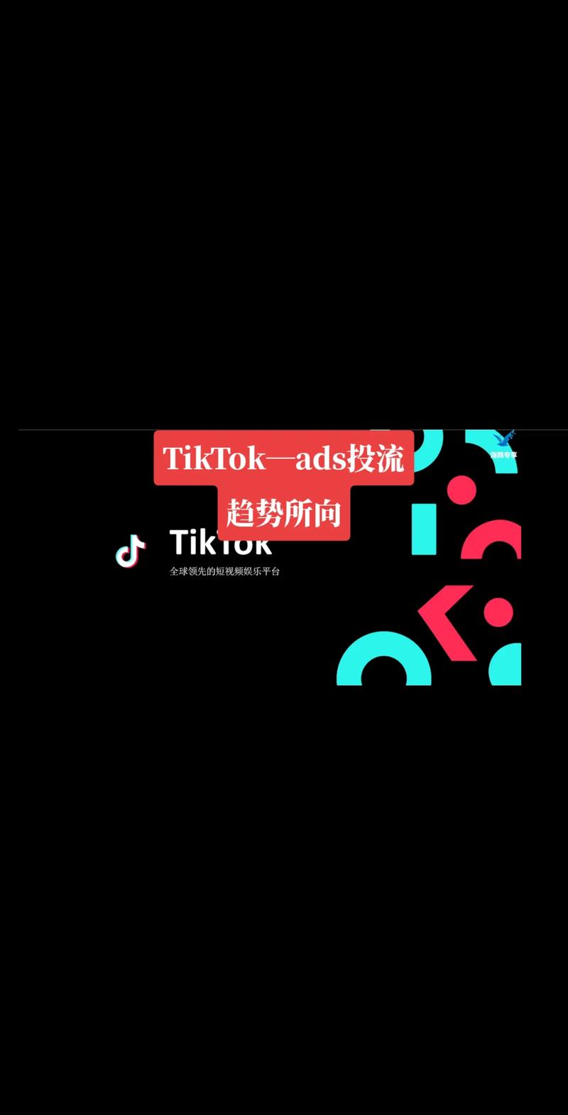 tiktok投流刷粉丝