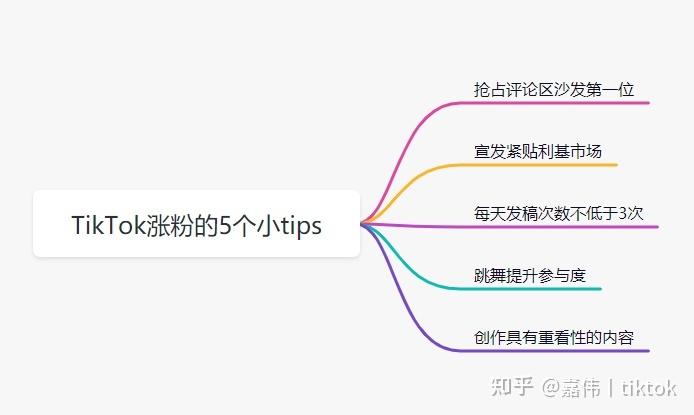 tiktok涨粉干货,TikTok涨粉干货!