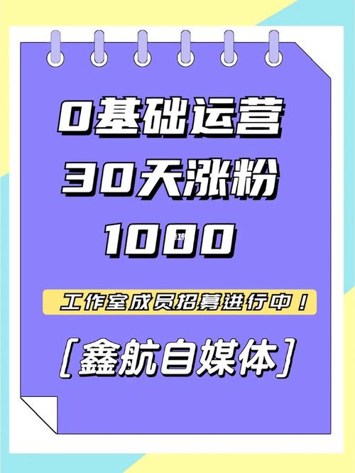 新人助力涨粉1000,文章目录：!