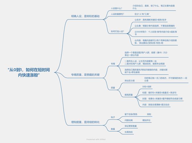 小红书快速涨粉的思维导图,小红书快速涨粉的思维导图!