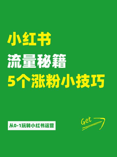 小红书粉丝排名前十,小红书粉丝排名前十：揭秘顶级流量背后的秘密!