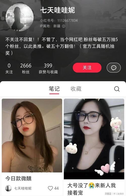 小红书真人粉丝平台,小红书真人粉丝平台：打造个人品牌的秘密武器!