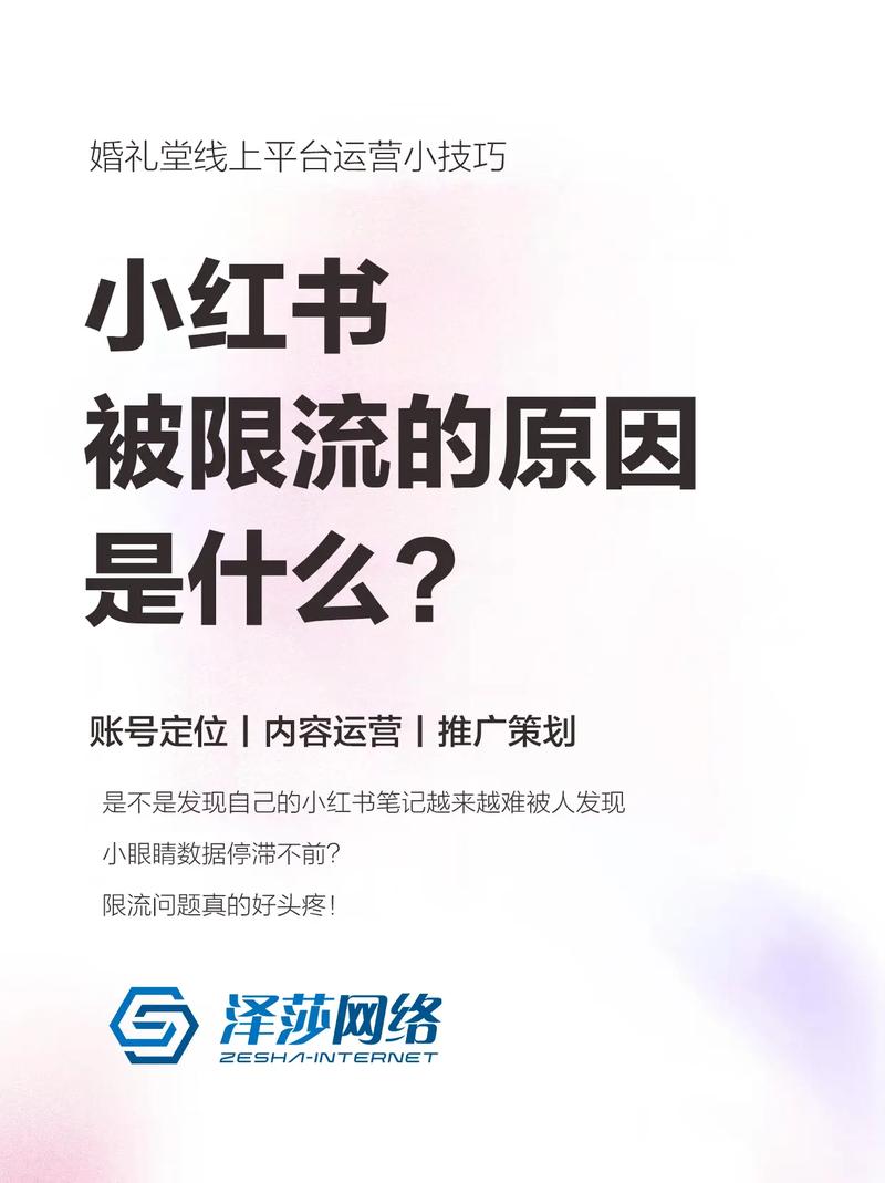 刷数据被小红书限流,小红书刷数据被限流的原因及应对策略!