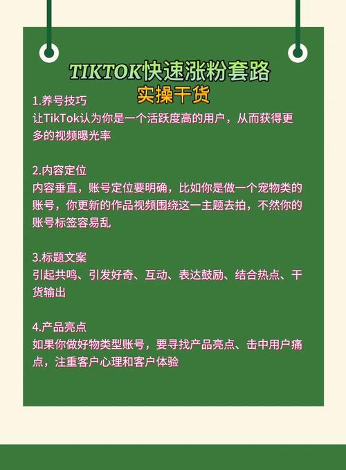 tiktok怎么涨刷粉丝观看,TikTok涨刷粉丝观看技巧!