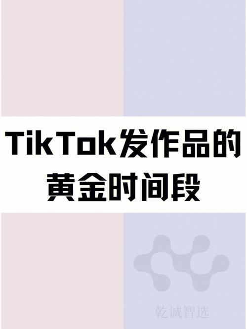 tiktok单日涨粉真实案例,tiktok单日涨粉真实案例：从零到一，探索短视频营销的无限可能!